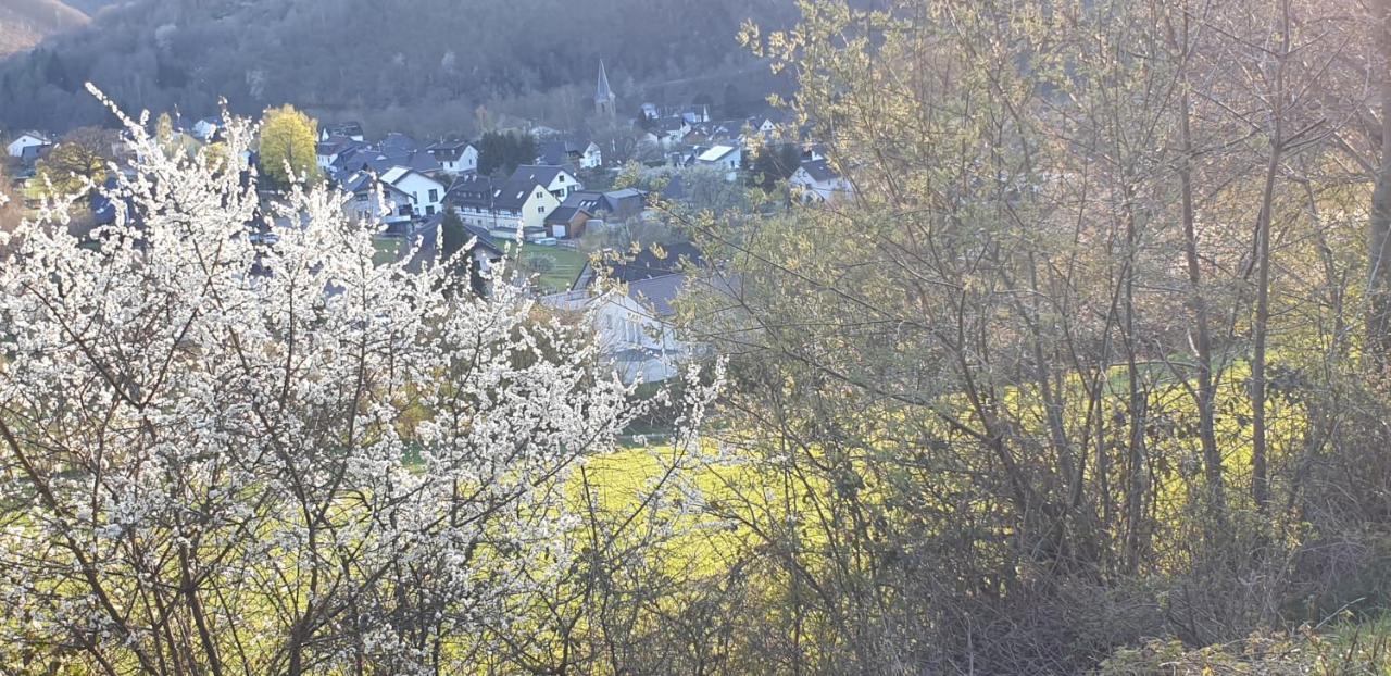 Wanderstube Landsonne Apartment Simmerath Luaran gambar